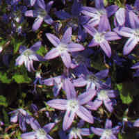 ������԰���������ġ����۹�