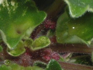 ���¼ҵ�������