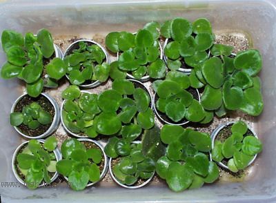 ���¼ҵ�������