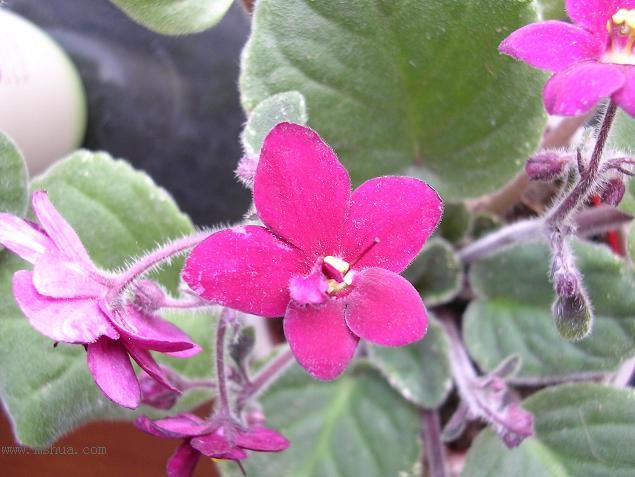 [��ˮ]��������ˮ��