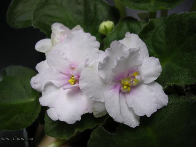 [��ˮ]��������ˮ��