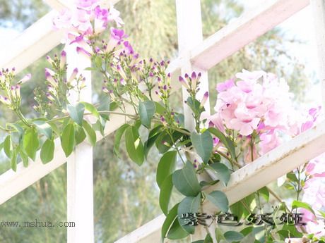 ����ֲ��԰�У����ٱ�