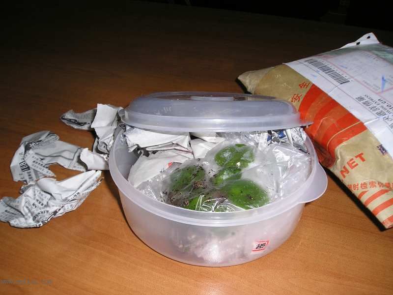 �յ��˾��������......JANE��������