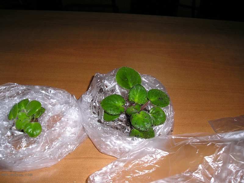 �յ��˾��������......JANE��������