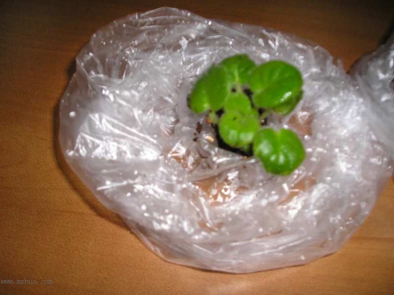 �յ��˾��������......JANE��������