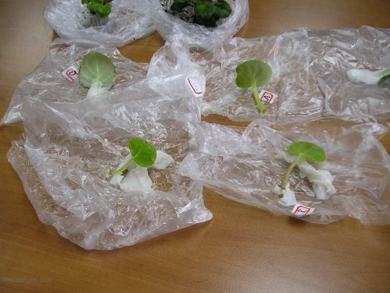 �յ��˾��������......JANE��������