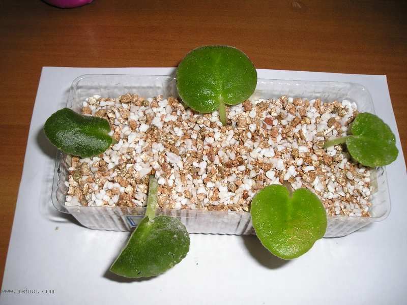 �յ��˾��������......JANE��������