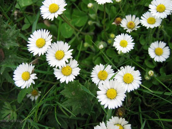 �ұ���ˮǺ����