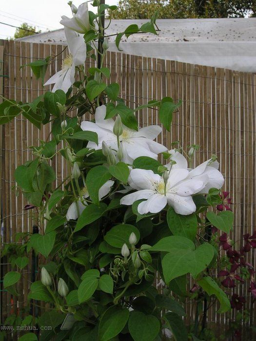 ������ש���߸�¥!