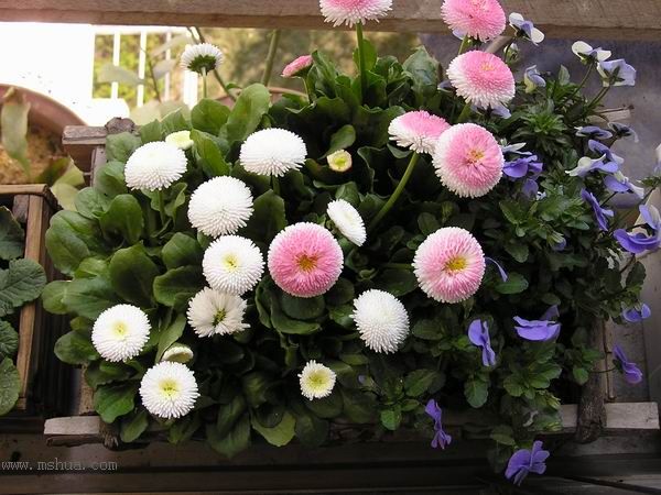 �ұ���ˮǺ����