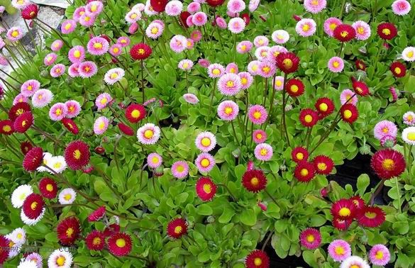 �ұ���ˮǺ����