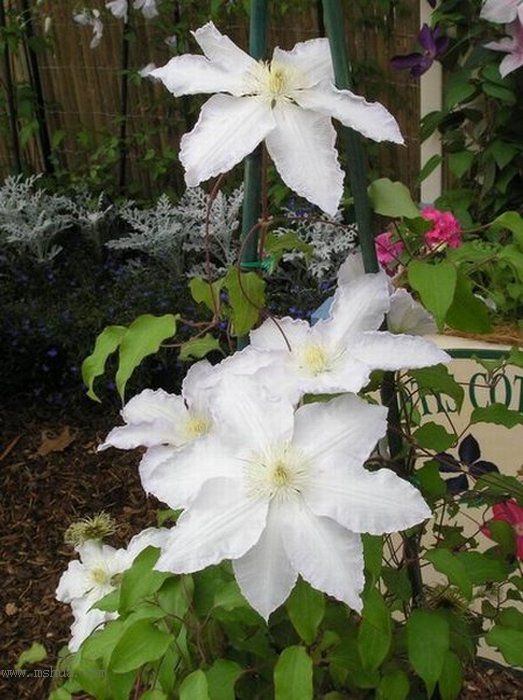 ������ש���߸�¥!