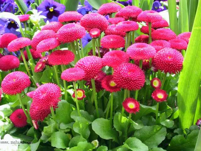 �ұ���ˮǺ����