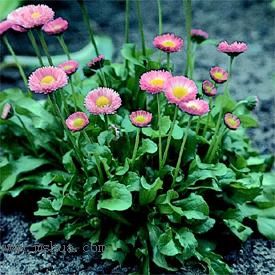 �ұ���ˮǺ����