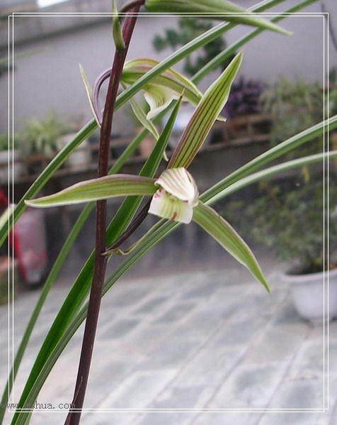 һЩ����-�����쿪�� ��������