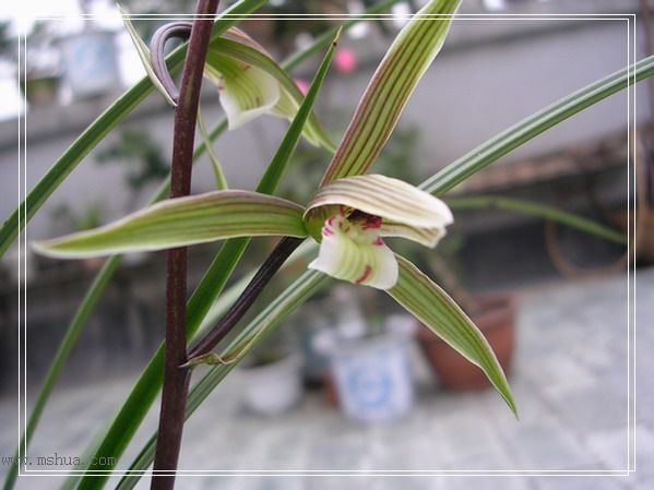 һЩ����-�����쿪�� ��������