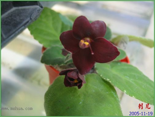 [����]��������֮ͼƬ�Ƚ�