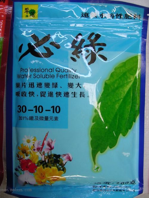 [���Ňޣ�]���ϣ���������
