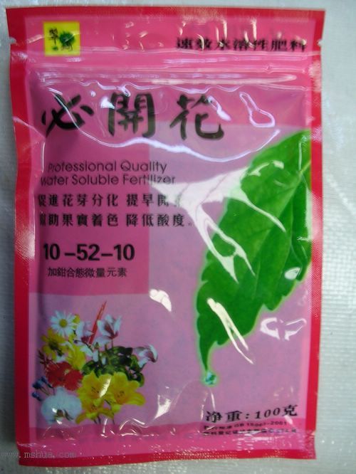 [���Ňޣ�]���ϣ���������