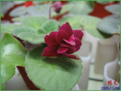 [����]��������֮ͼƬ�Ƚ�