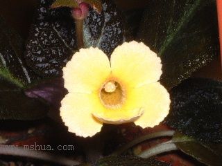 Kee Wee - ����