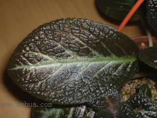 Kee Wee - ����