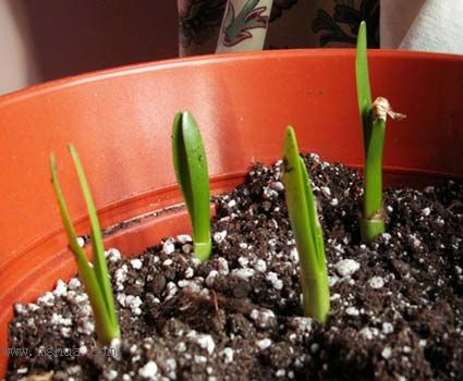 [ԭ��]�ɰ������죭����,������