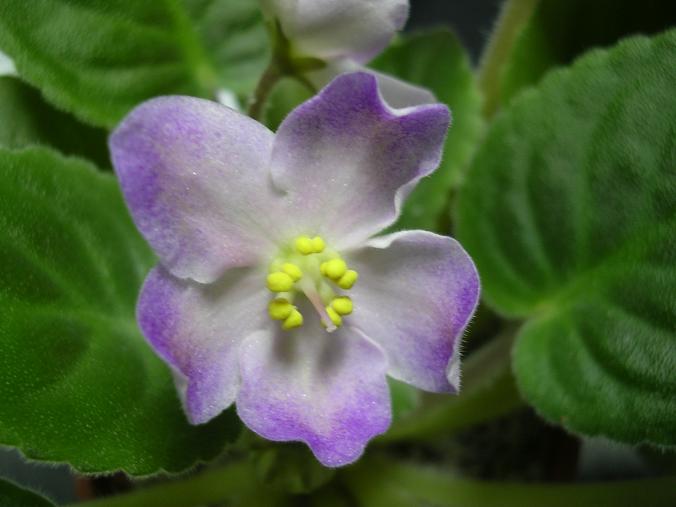 [��ˮ]��������ˮ��