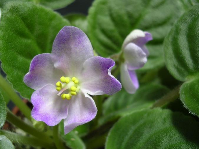 [��ˮ]��������ˮ��