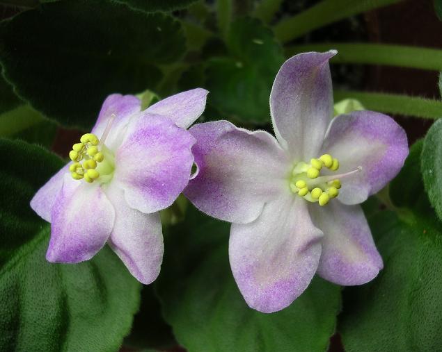 [��ˮ]��������ˮ��