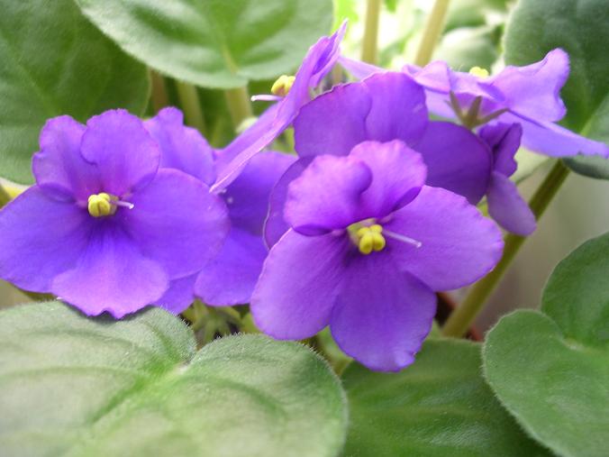 [��ˮ]��������ˮ��