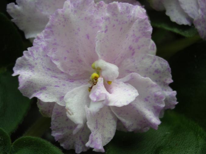 [��ˮ]��������ˮ��