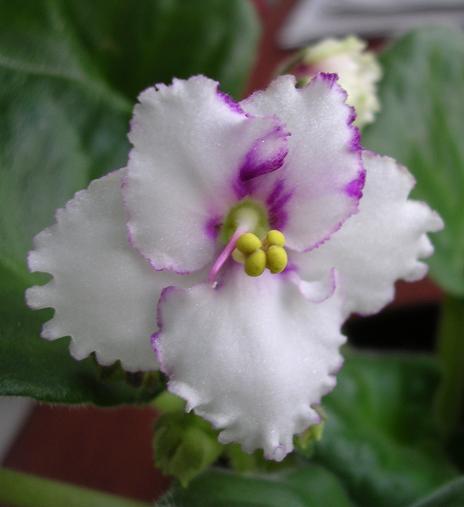 [��ˮ]��������ˮ��