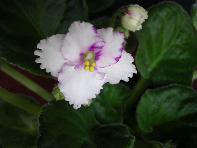 [��ˮ]��������ˮ��