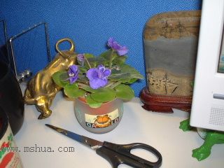 ѽ, ԭ���� C2