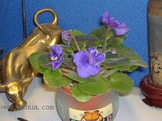 ѽ, ԭ���� C2