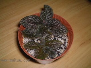 Kee Wee - ����