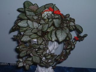 Kee Wee - ����