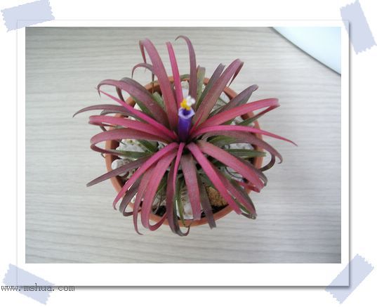 [����]������������������(P10���d������)