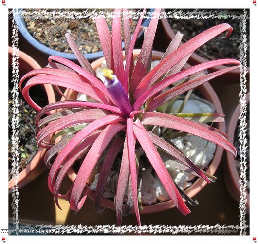 [����]������������������(P10���d������)