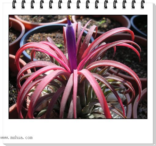 [����]������������������(P10���d������)