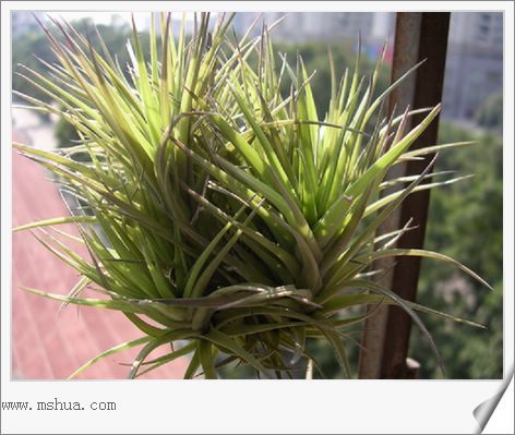 [����]������������������(P10���d������)