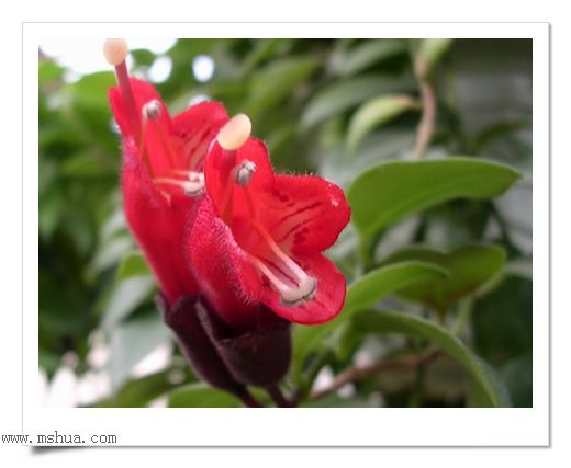 [����]������������������(P10���d������)