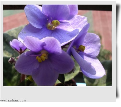 [����]Rachel������С�ǣ�P22���������»����ܣ�