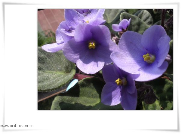 [����]Rachel������С�ǣ�P22���������»����ܣ�