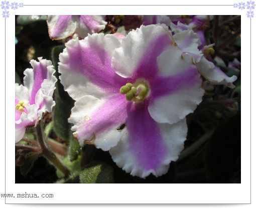 [����]Rachel������С�ǣ�P22���������»����ܣ�