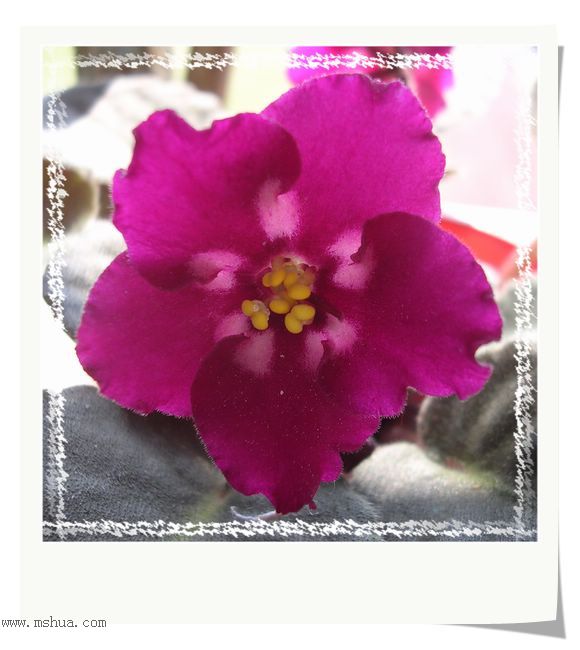 [����]Rachel������С�ǣ�P22���������»����ܣ�