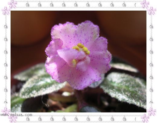 [����]Rachel������С�ǣ�P22���������»����ܣ�