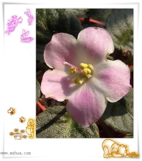 [����]Rachel������С�ǣ�P22���������»����ܣ�