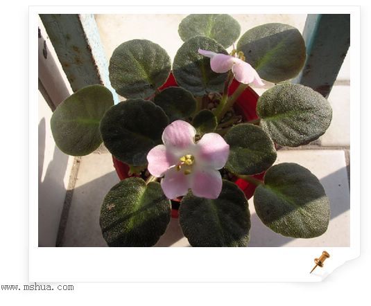 [����]Rachel������С�ǣ�P22���������»����ܣ�